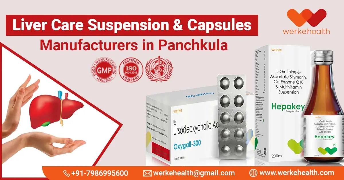 Liver Care Suspension & Capsules Manufacturers in Panchkula | Werke Health