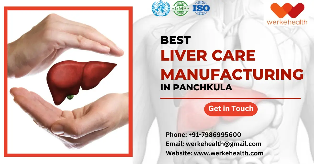Best Liver Care Manufacturing Company in Panchkula | Werke Health