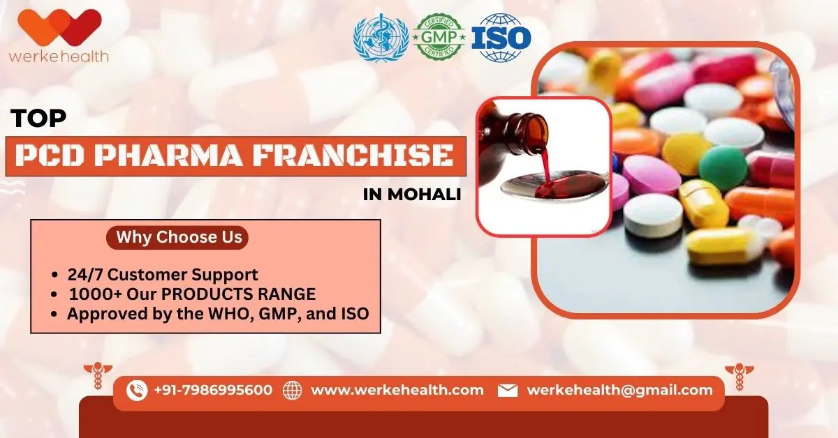 Top PCD Pharma Franchise Company in Mohali | Werke Health
