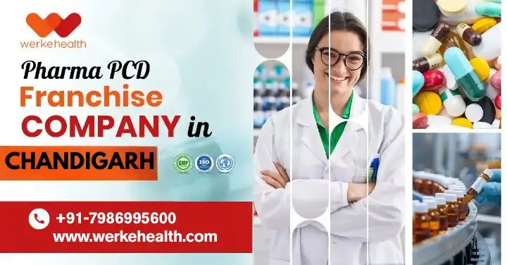 PCD Pharma Franchise in Chandigarh, Monopoly Rights | Werke Health