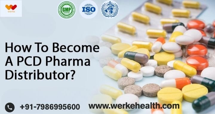 Steps to Become a PCD Pharma Distributor in India | Werke Health Steps to Become a PCD Pharma Distributor in India | Werke Health