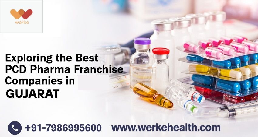 PCD Pharma Franchise in Gujarat | Werke Health