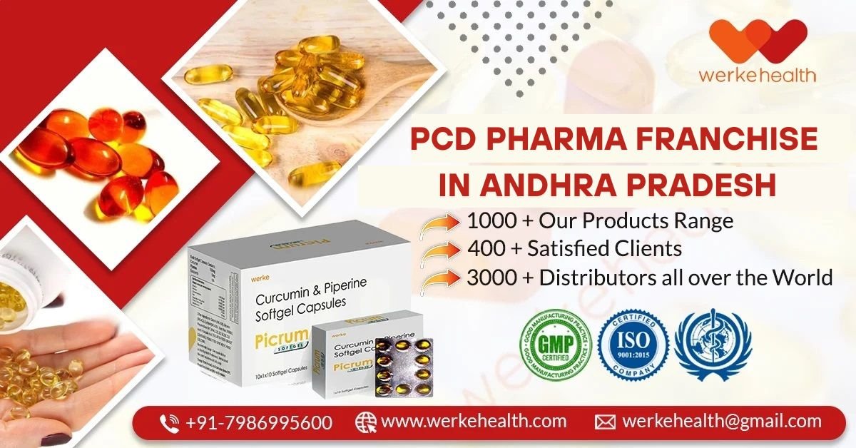 PCD Pharma Franchise in Andhra Pradesh, Monopoly Rights | Werke Health