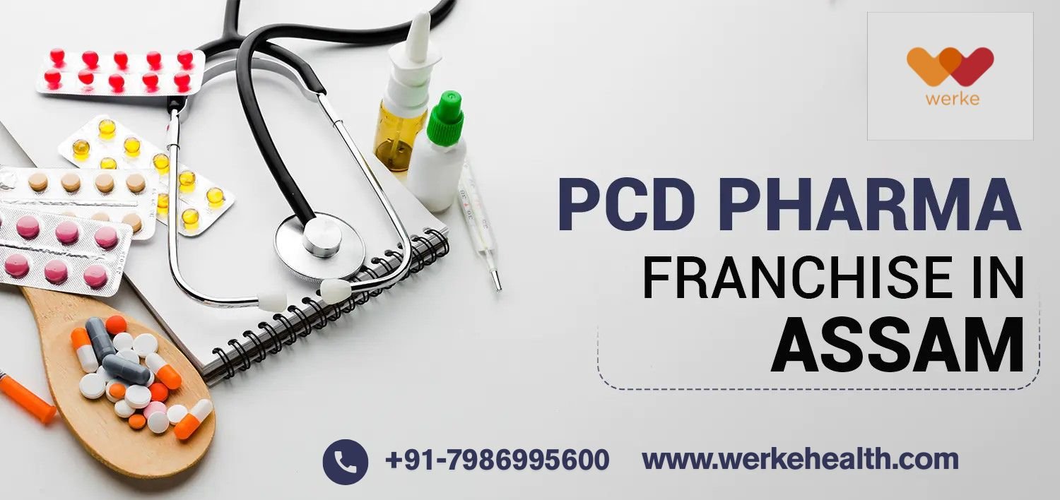 PCD Pharma Franchise in Assam | Werke Health