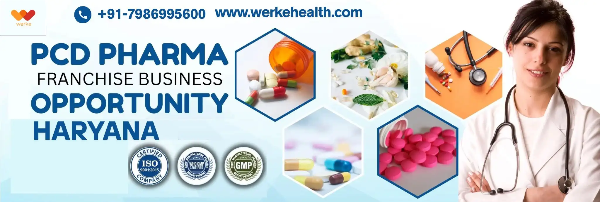 PCD Pharma Franchise in Haryana | Werke Health PCD Pharma Franchise in Haryana | Werke Health