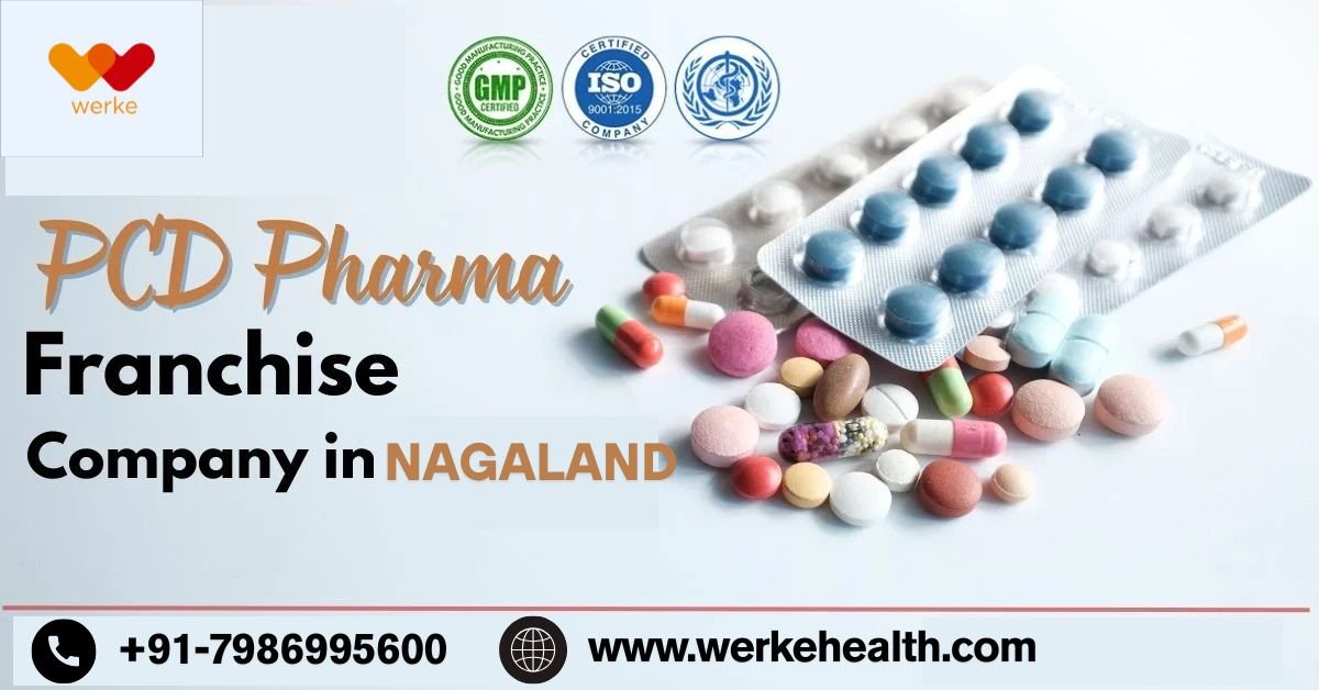 PCD Pharma Franchise in Nagaland, Monopoly Rights | Werke Health PCD Pharma Franchise in Nagaland, Monopoly Rights | Werke Health