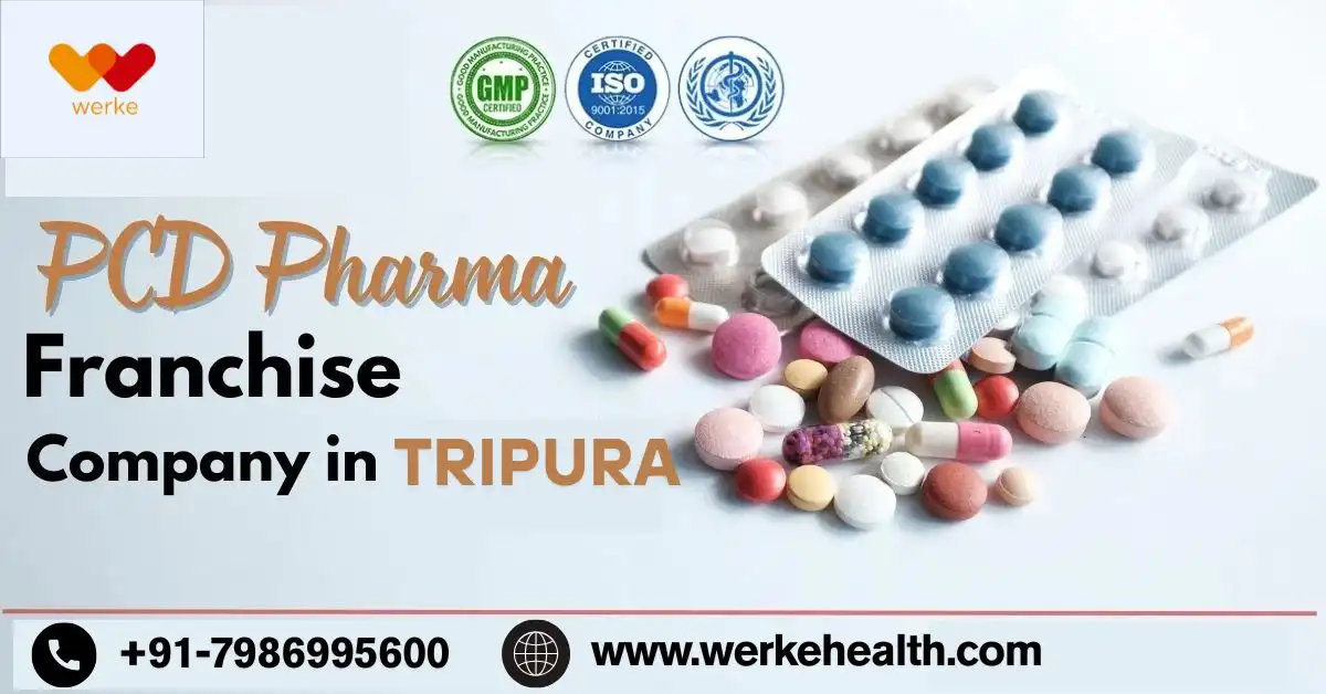 PCD Pharma Franchise in Tripura | Werke Health PCD Pharma Franchise in Tripura | Werke Health